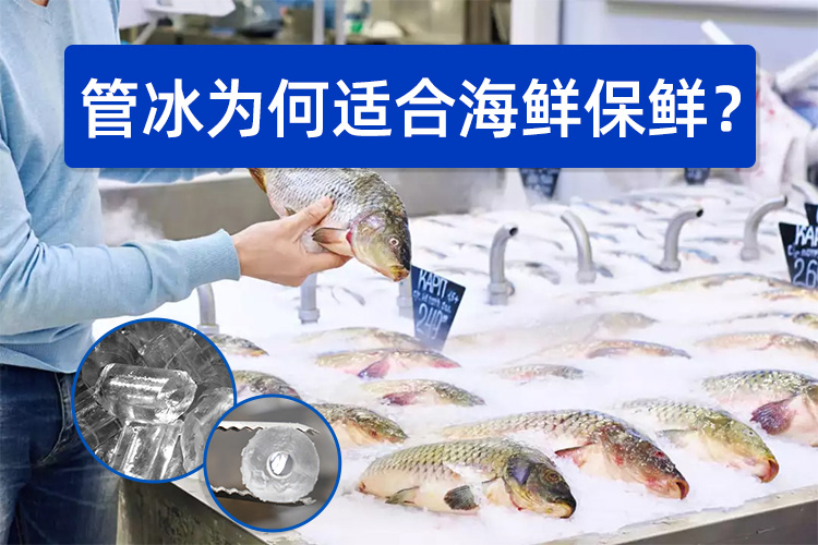 管冰為何如此適合海鮮保鮮？